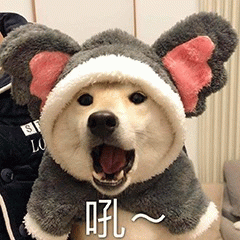 示例图片